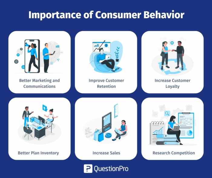 Understanding Consumer Behavior