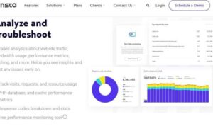 Analyzing Website Traffic