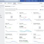 Using Facebook Insights