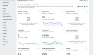 Using Facebook Insights