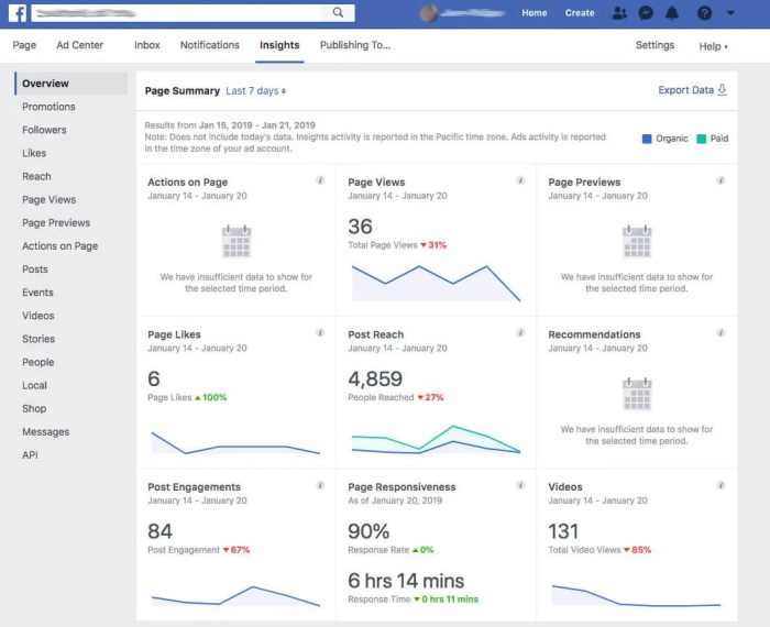 Using Facebook Insights